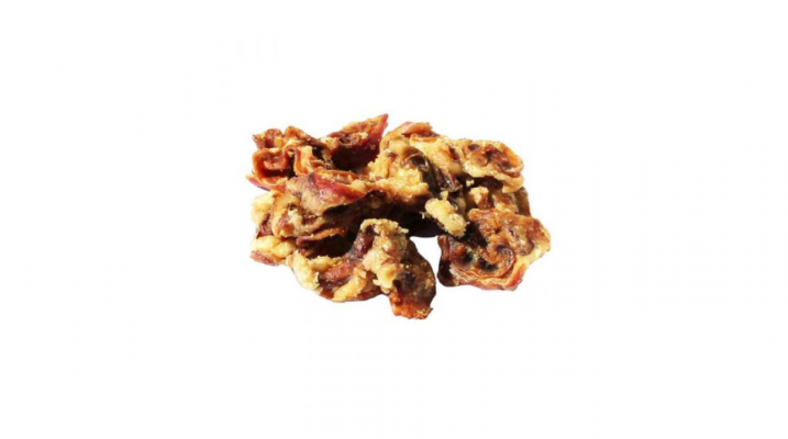 Schweineohrmuschel Glossar